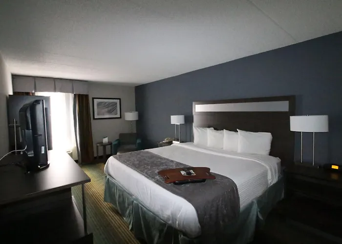 Hotel Western O'hare/elk Grove 3*