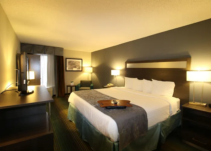 Western O'hare/elk Grove Hotel 3*