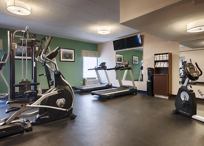 Hotel Western O'hare/elk Grove 3*