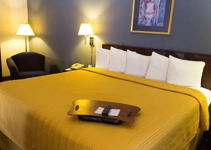 Western O'hare/elk Grove Hotel 3*