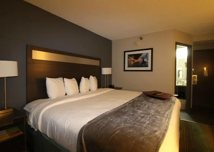 Western O'hare/elk Grove Hotel 3*